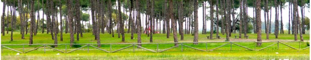 Villamanrique de la Condesa